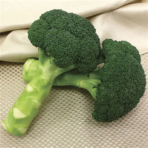 Magic infused green broccoli seeds